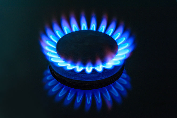 New Entrant Domestic Gas Installer Course